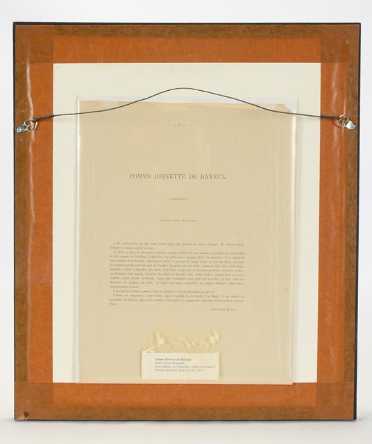 "Reinette De Bayeux" Hand Tinted Lithograph