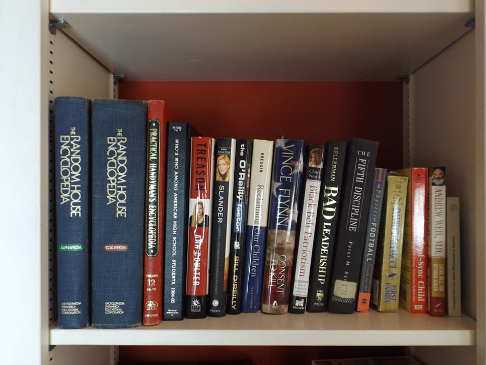 Modern Political and Reference Books