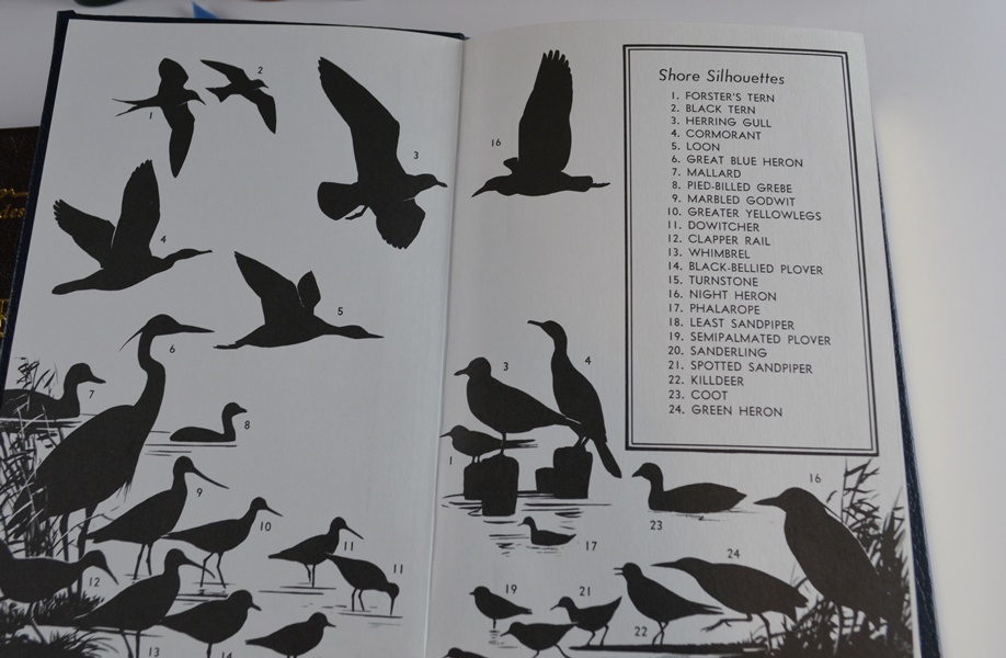 Sixteen Hardcover Roger Tory Peterson Field Guides