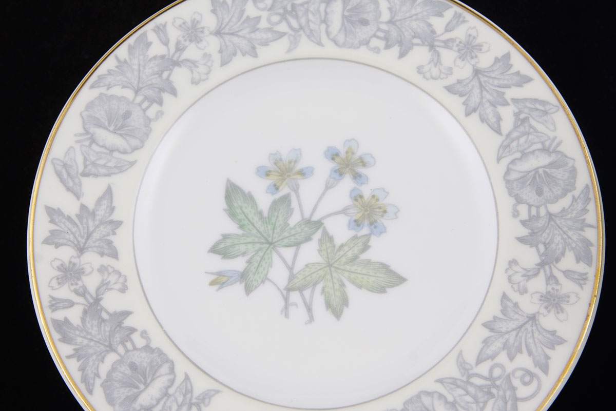 Wedgwood Bone China Service for Twelve
