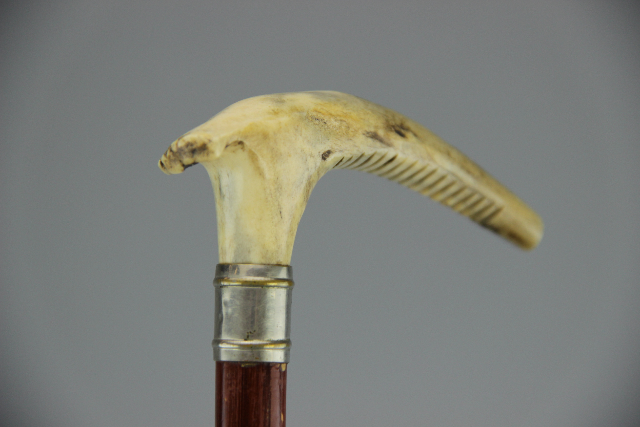 Antique Antler Handled Hunting Whip