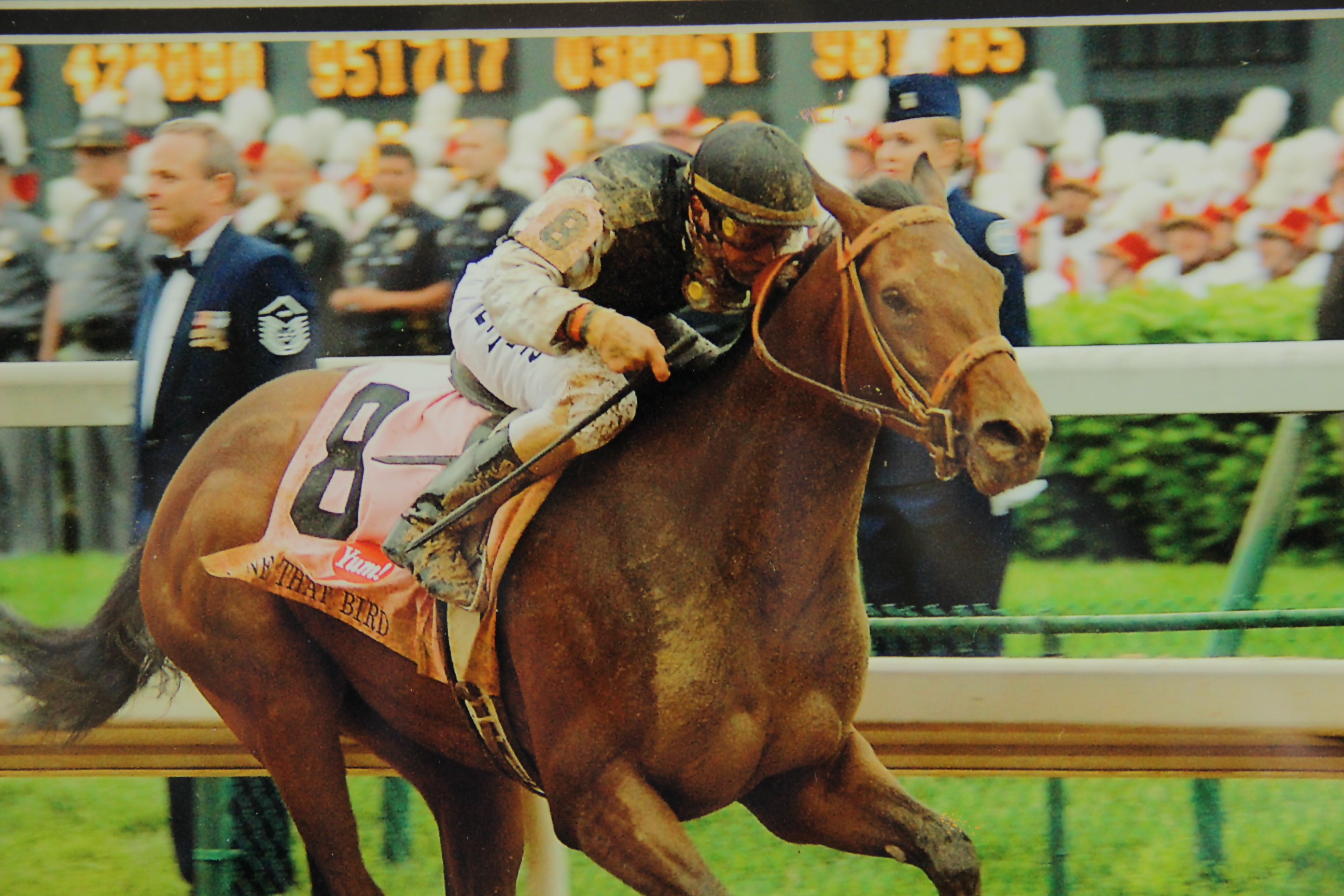 2009 Kentucky Derby Winner Photograph Mine That Bird