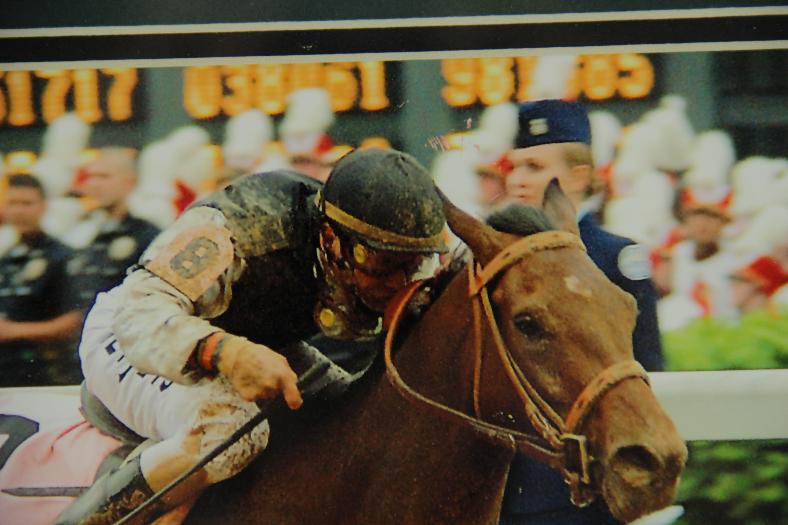 2009 Kentucky Derby Winner Photograph Mine That Bird