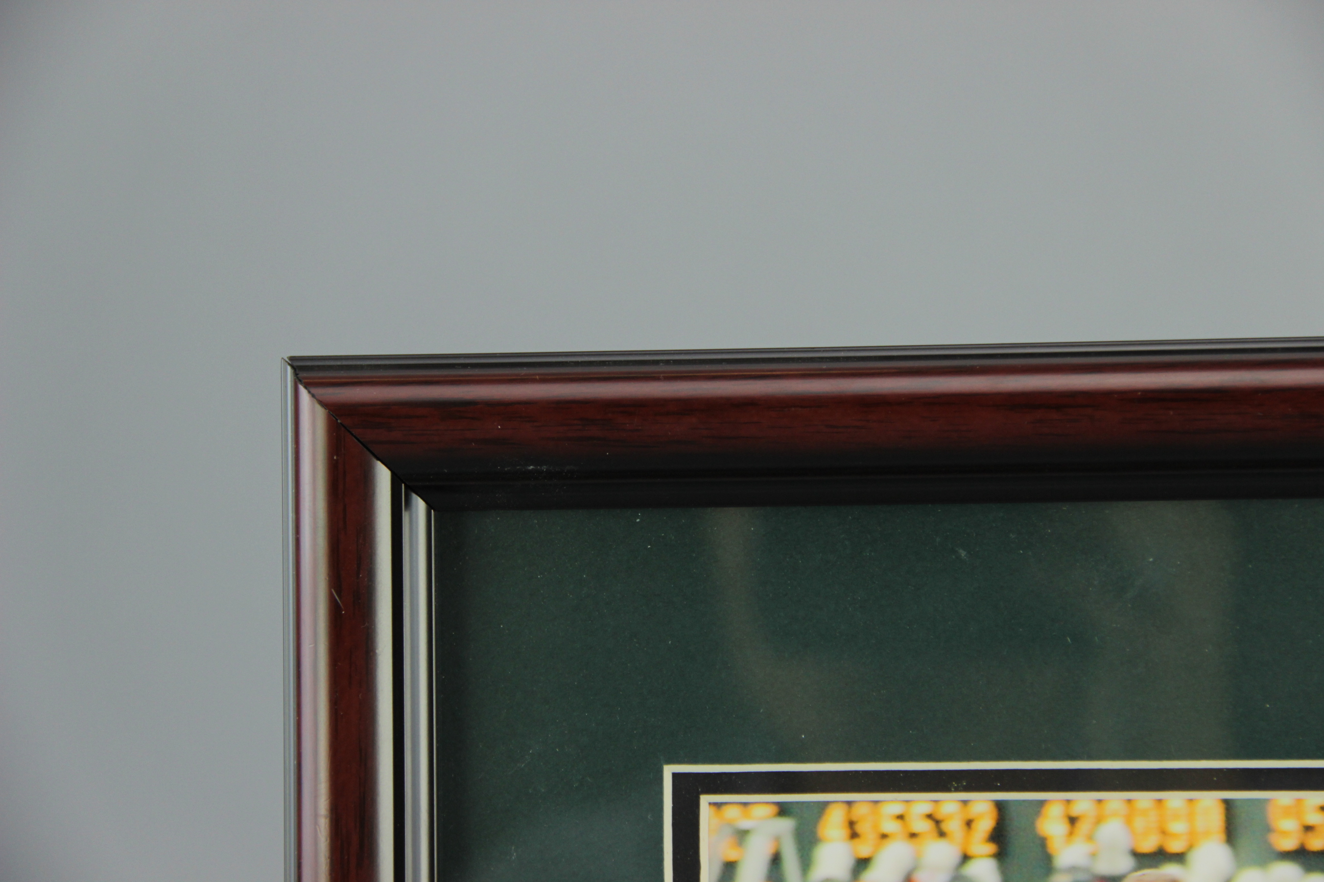 2009 Kentucky Derby Winner Photograph Mine That Bird