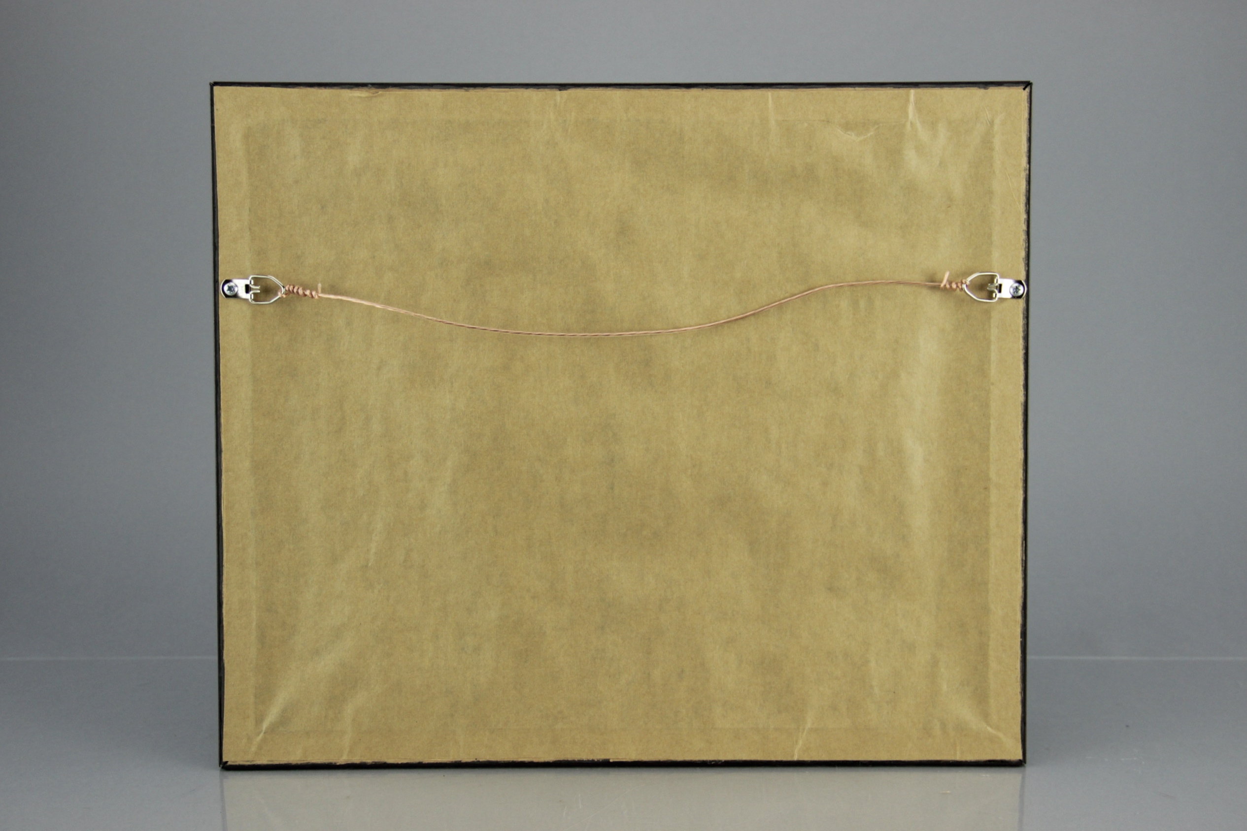 2009 Kentucky Derby Winner Photograph Mine That Bird