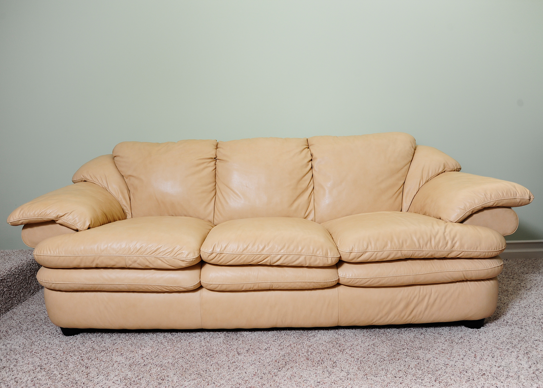 Nutuzzi Italian Leather Sofa