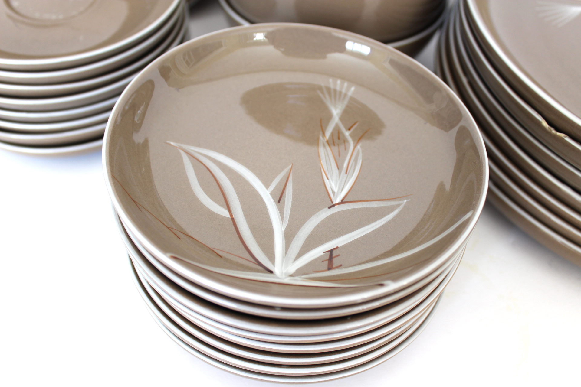 Winfield China in Desert Dawn