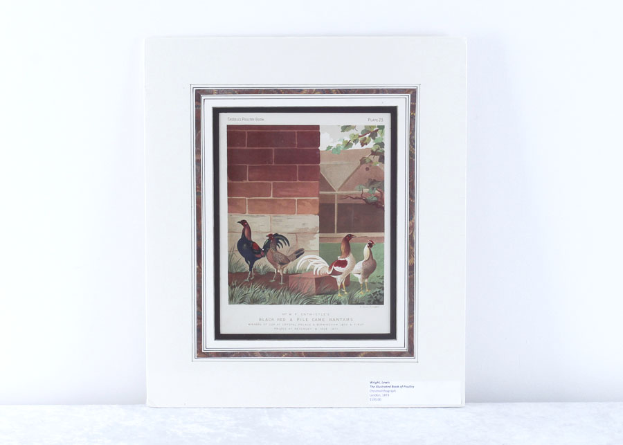 J.W. Ludlow Chromolithograph