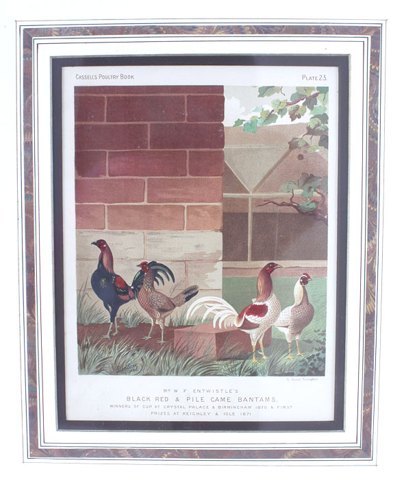 J.W. Ludlow Chromolithograph