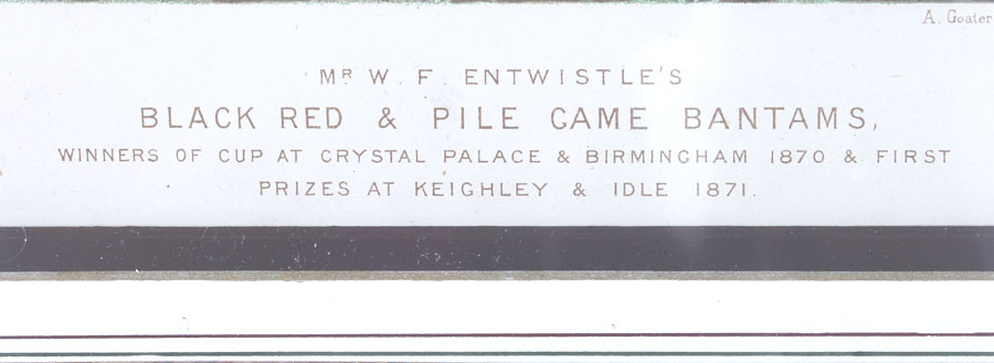 J.W. Ludlow Chromolithograph