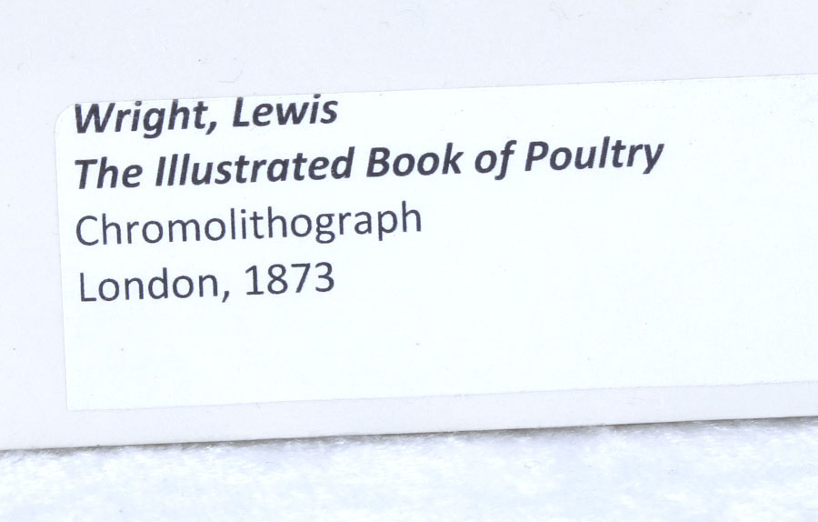 J.W. Ludlow Chromolithograph