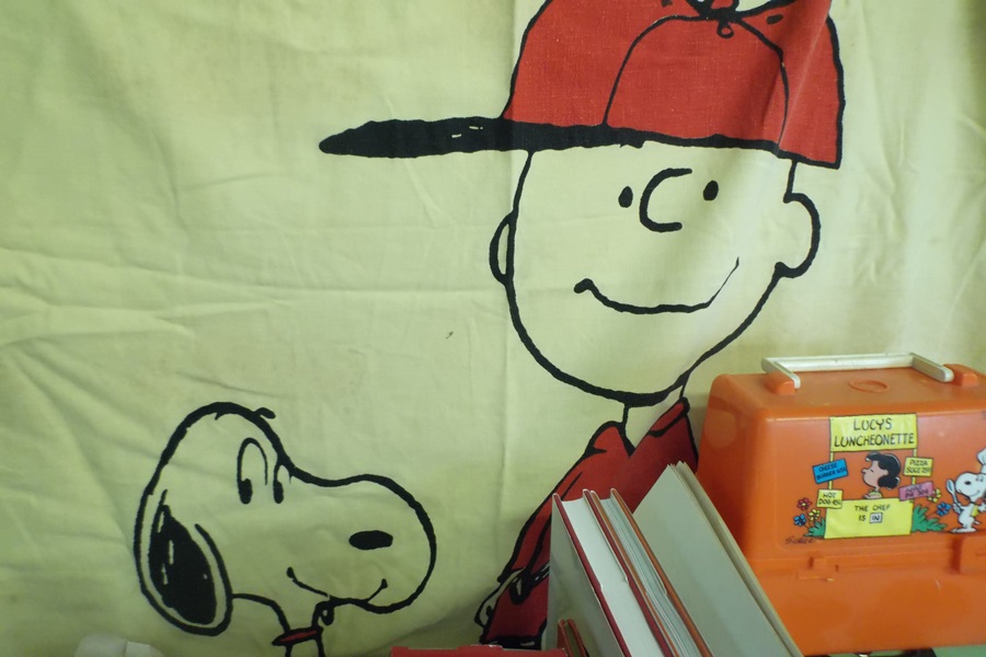 Assortment of Vintage Peanut Character Collector Items