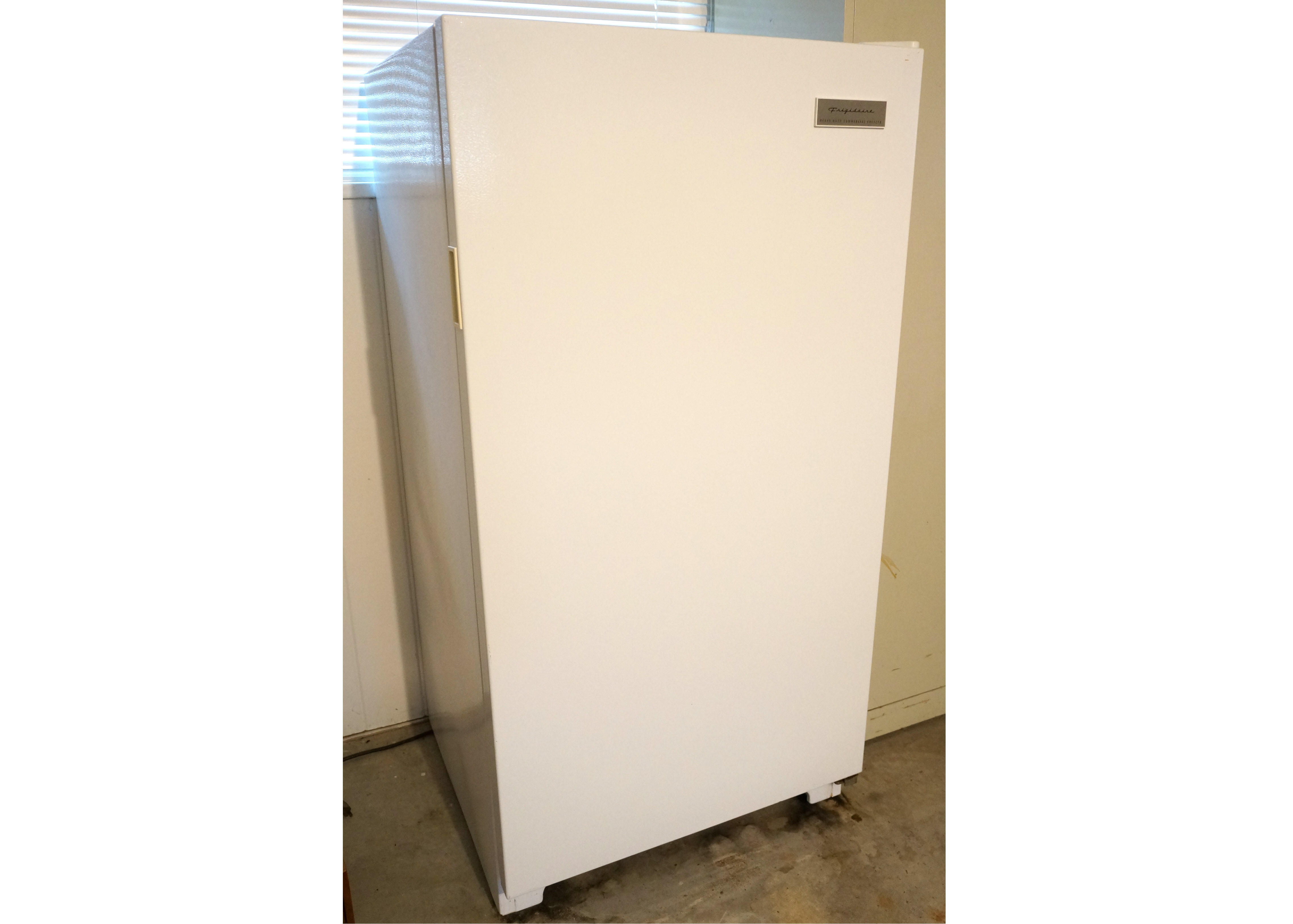 Frigidaire Heavy Duty Commercial Freezer