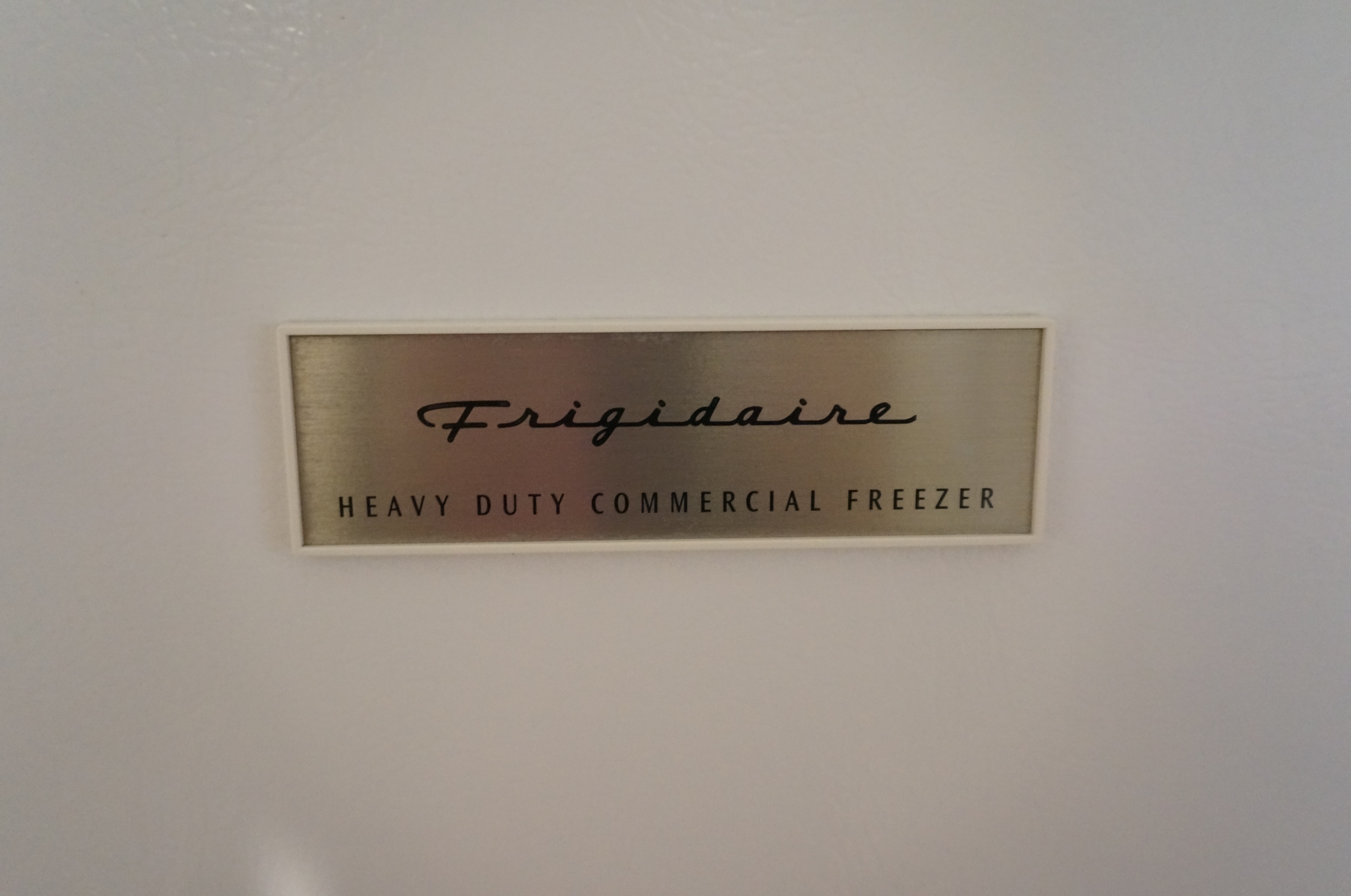 Frigidaire Heavy Duty Commercial Freezer