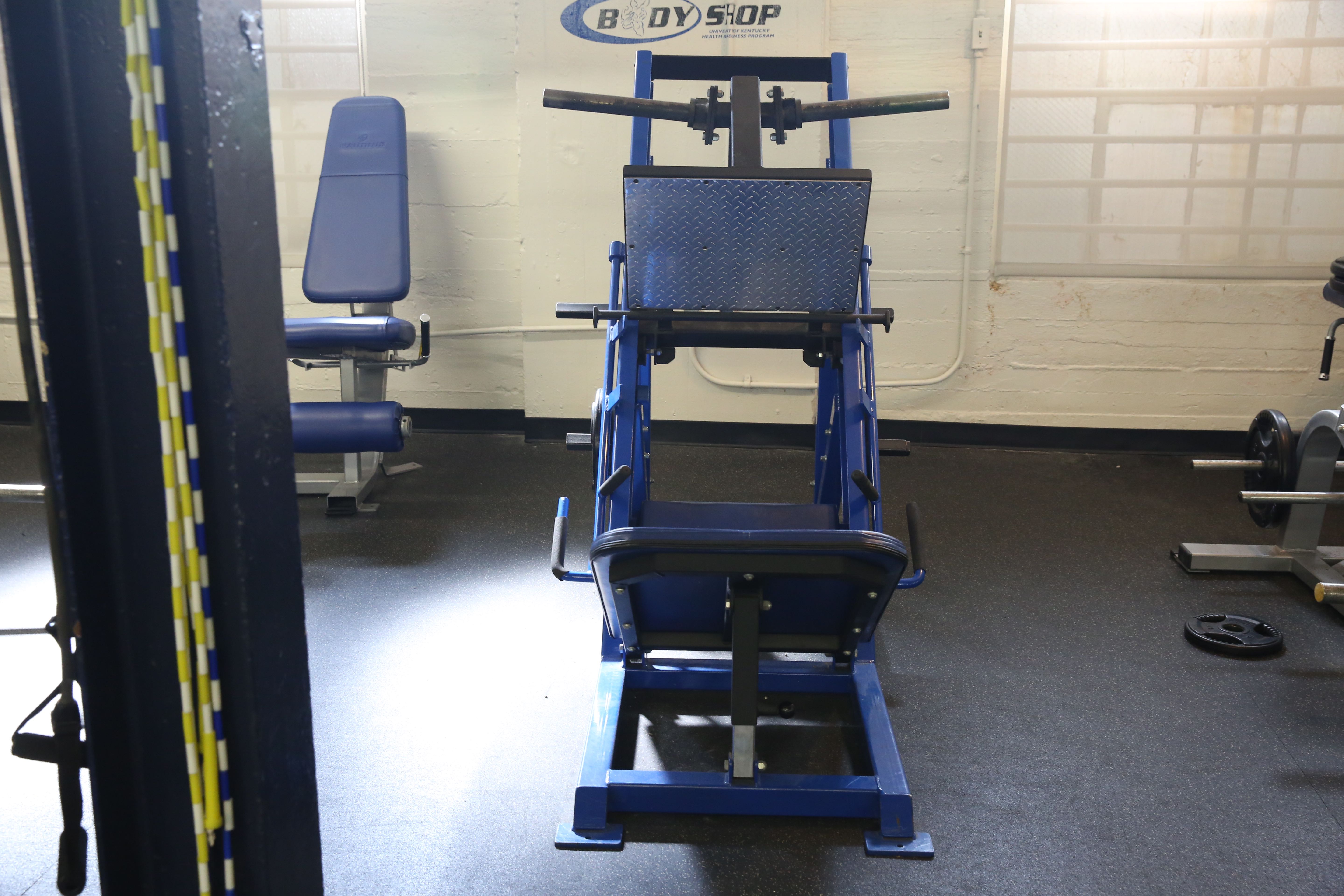 Sorinex 45 Degree Leg Press