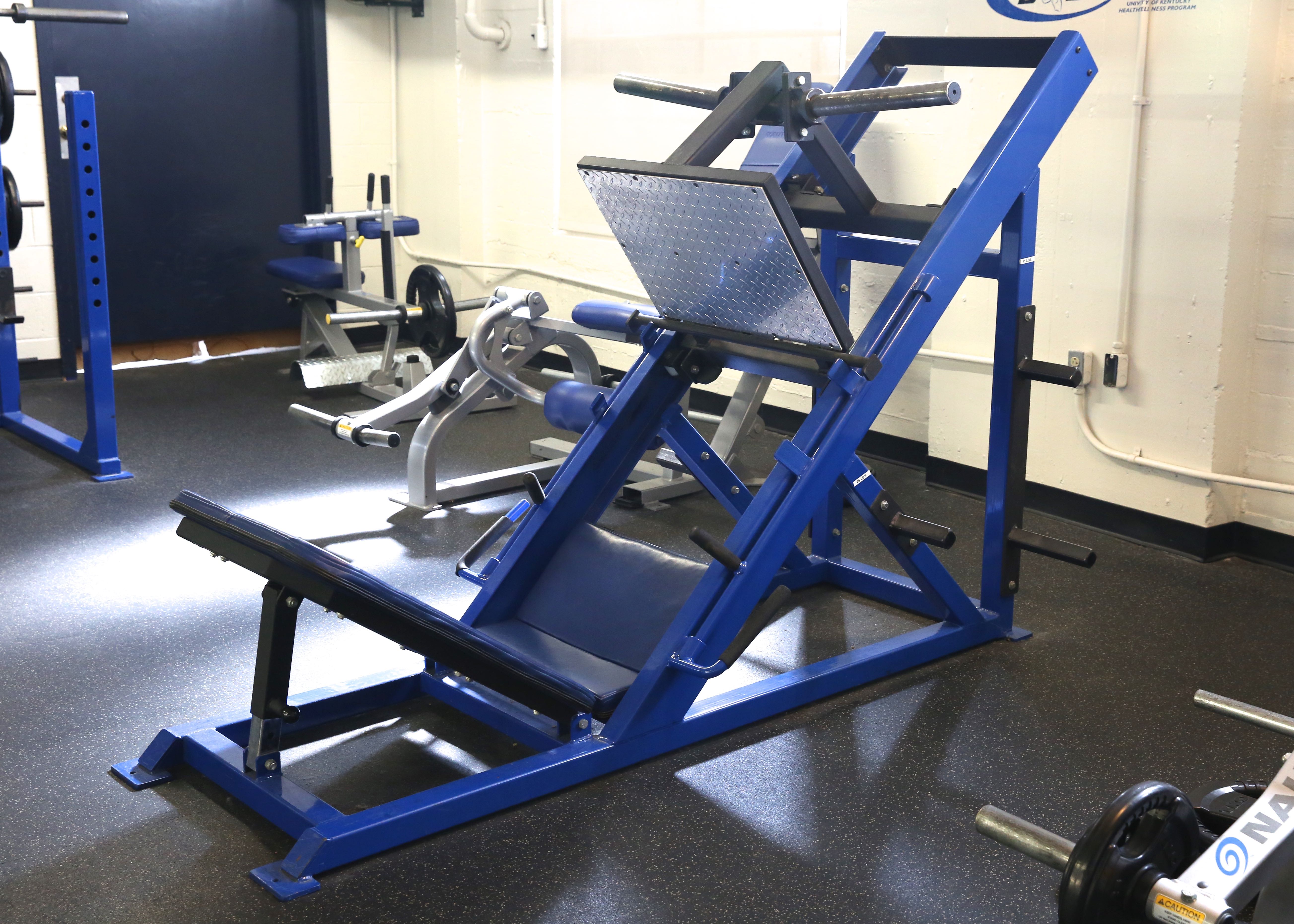 Sorinex 45 Degree Leg Press