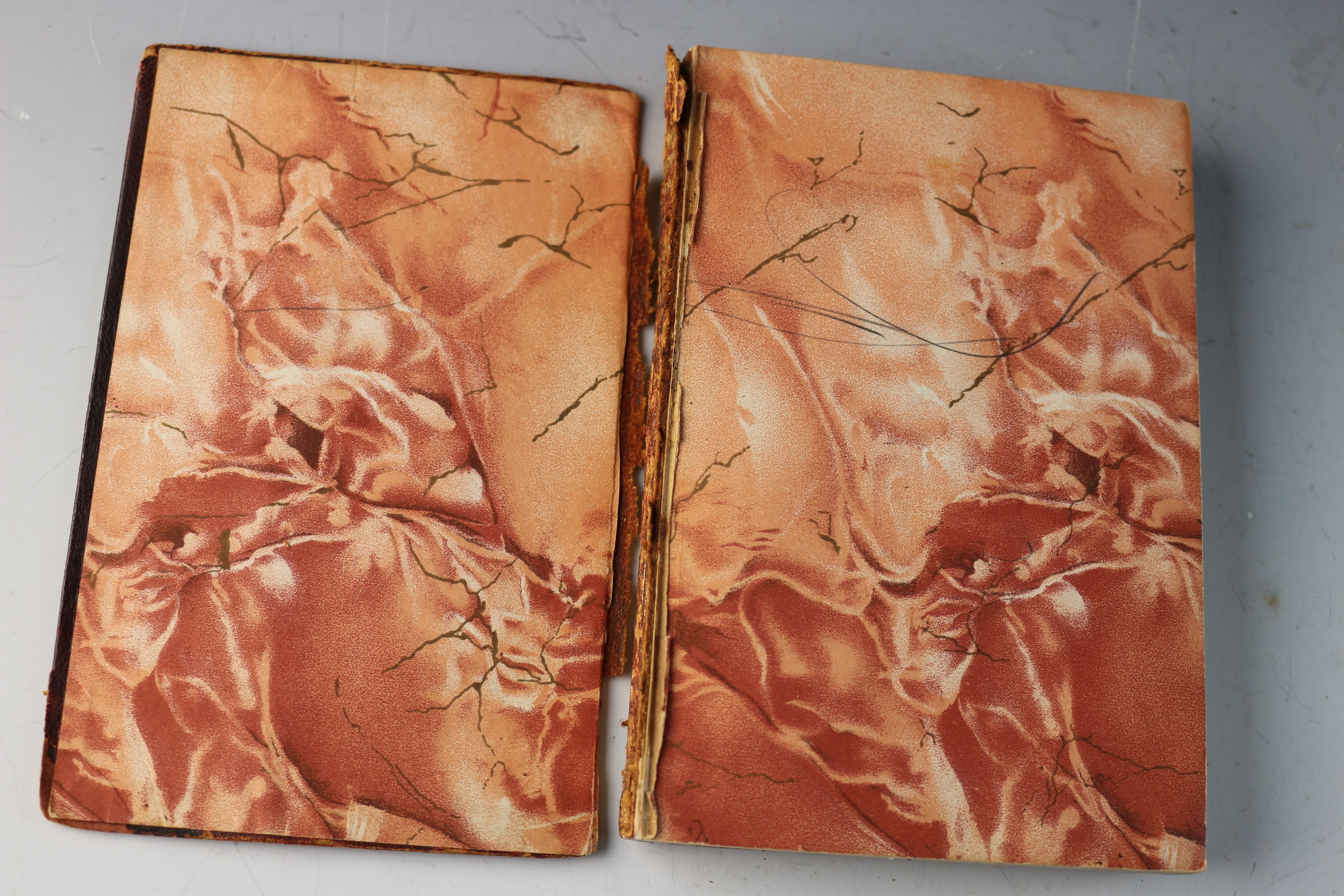 Collection of Antique and Vintage Books