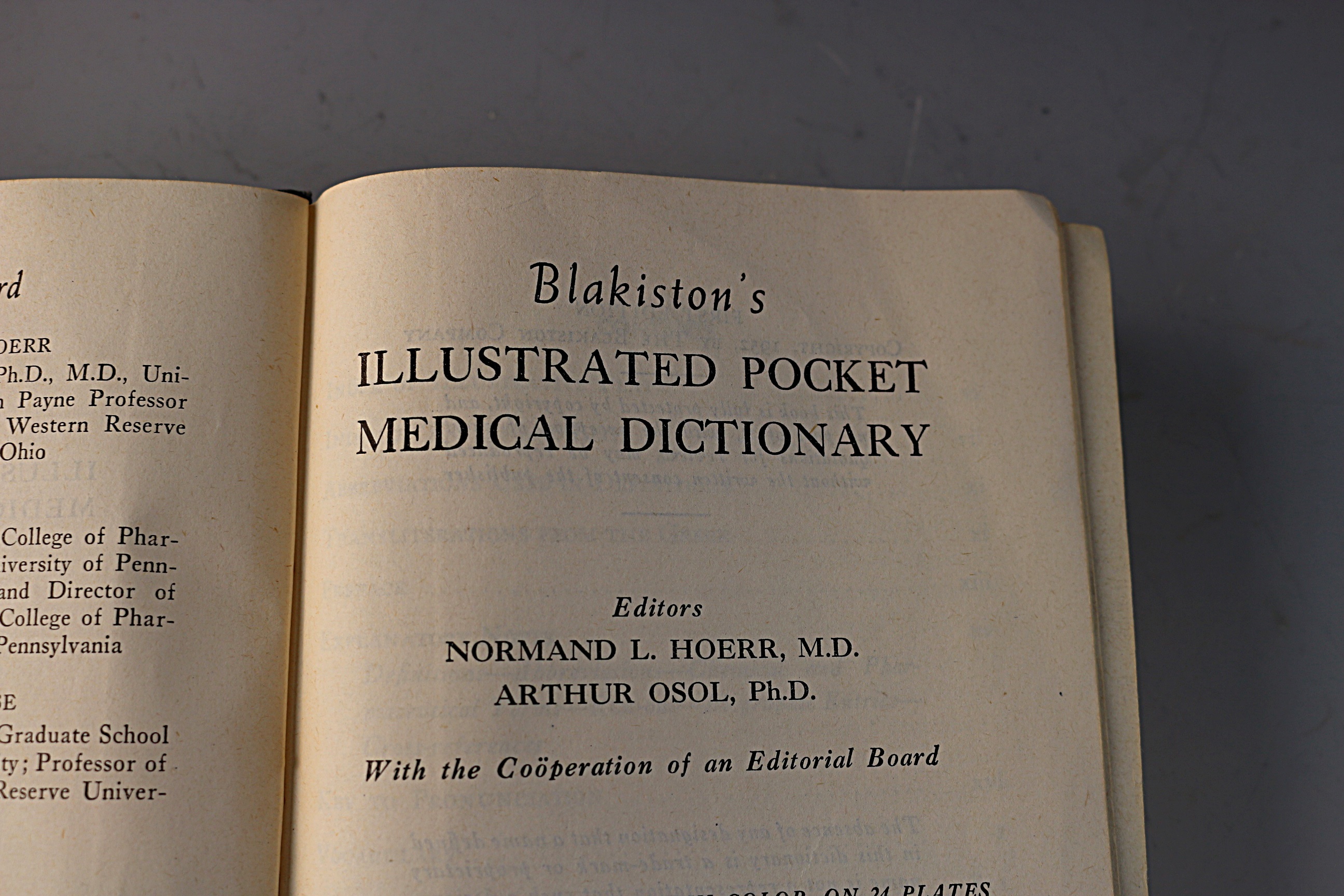 Collection of Antique and Vintage Books