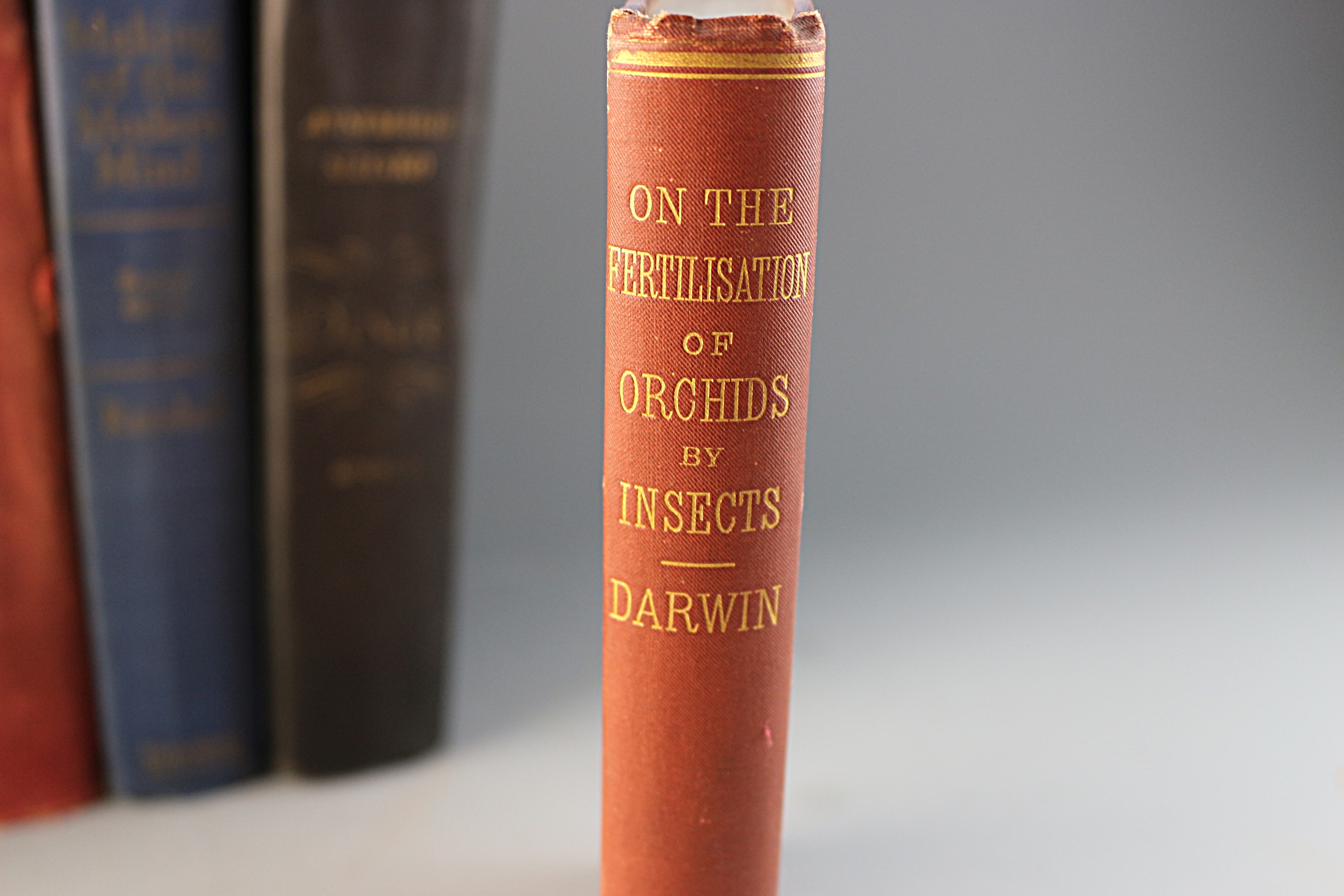 Collection of Antique and Vintage Books