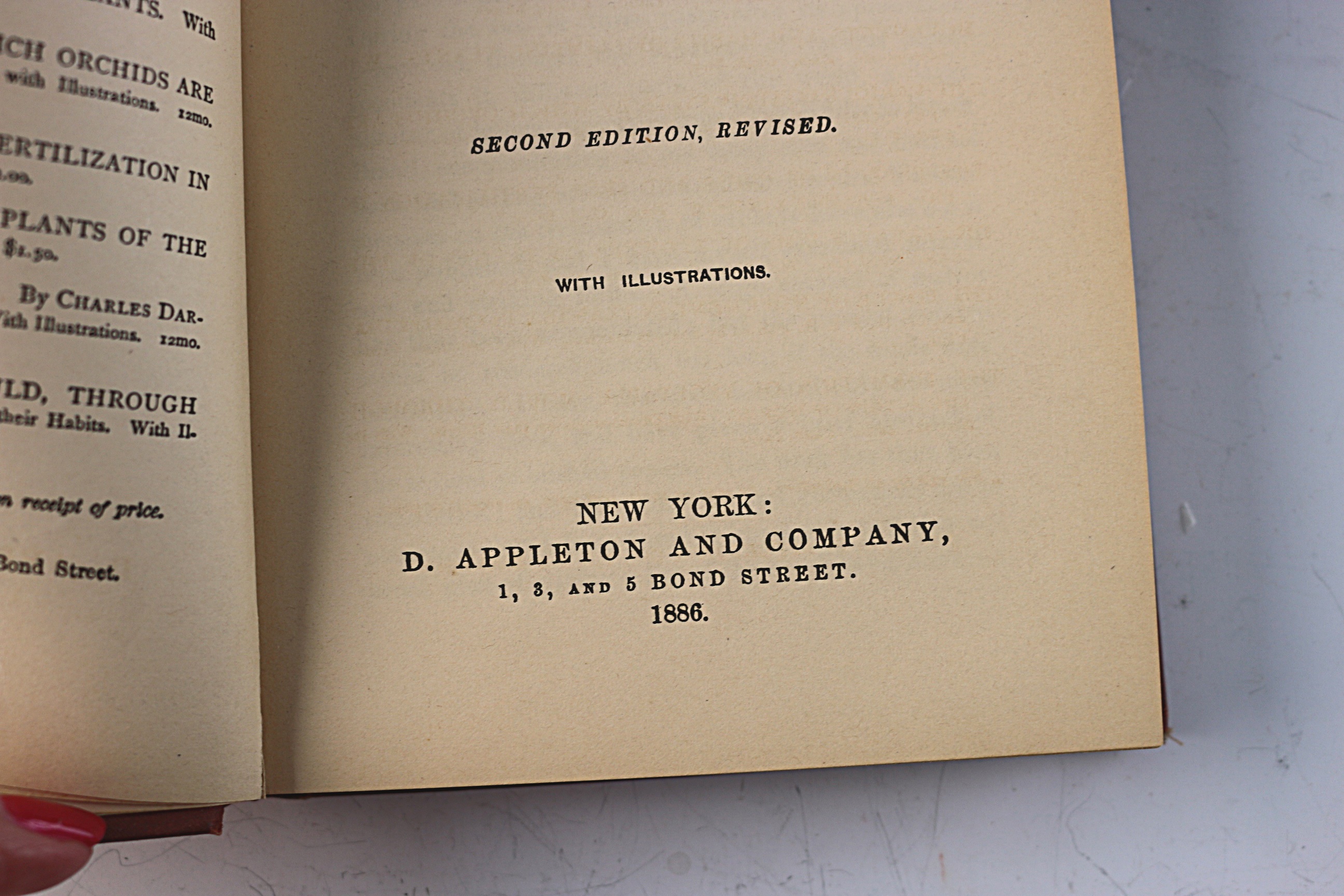 Collection of Antique and Vintage Books