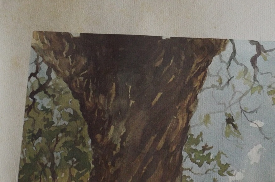 Vintage Military Themed Posters and Signed Print