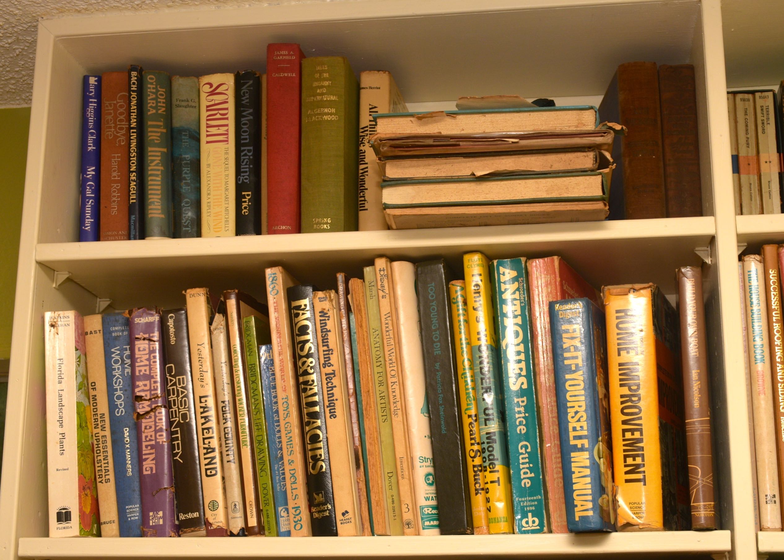 Vintage Book Collection