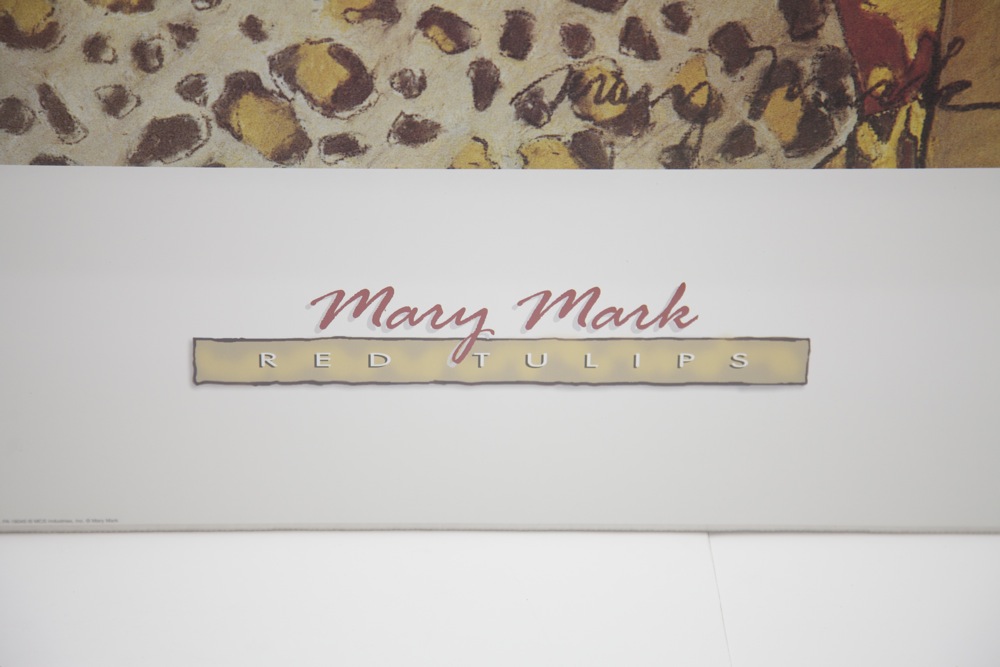 Mary Mark Posters