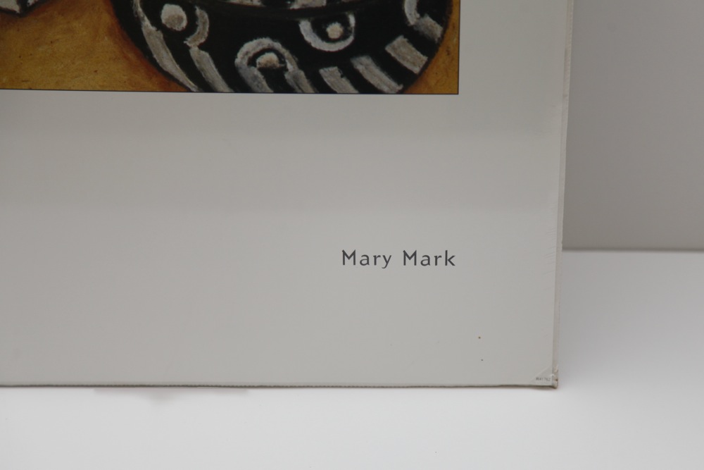 Mary Mark Posters