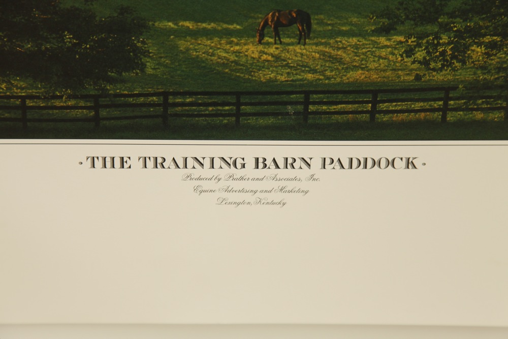 Posters and Print Group