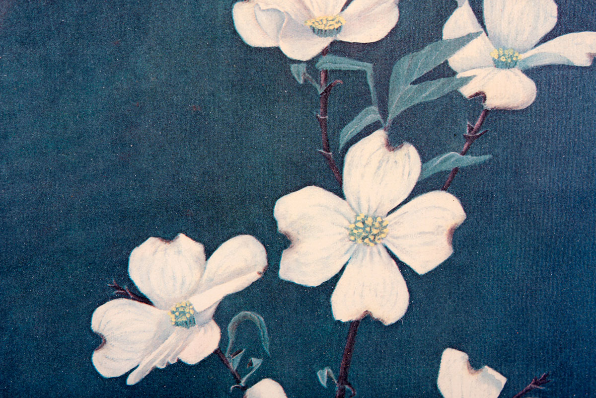 Two Framed James W. Hicks Offset Lithographs