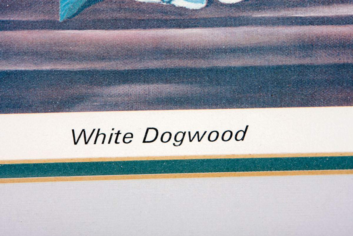 Two Framed James W. Hicks Offset Lithographs