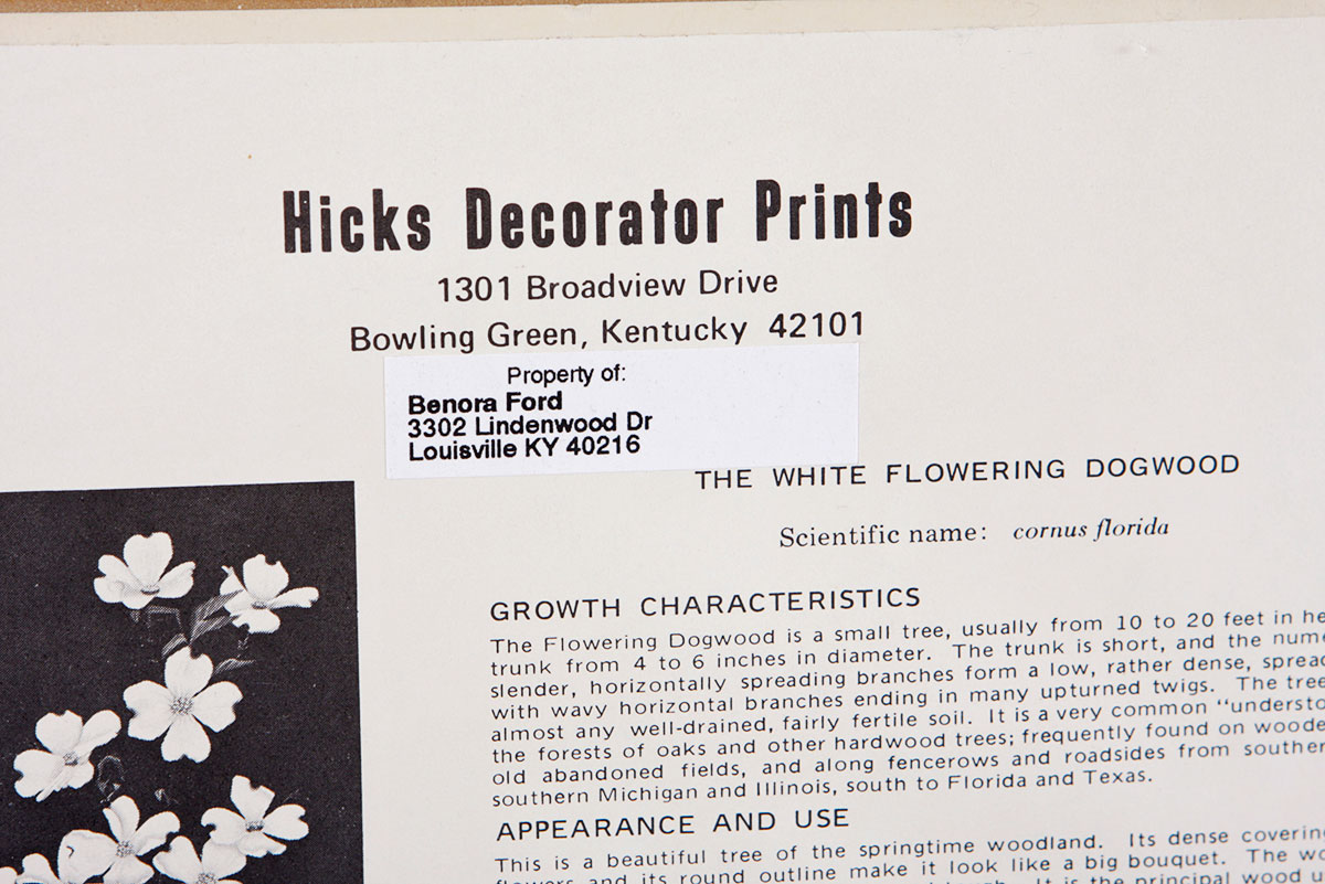 Two Framed James W. Hicks Offset Lithographs