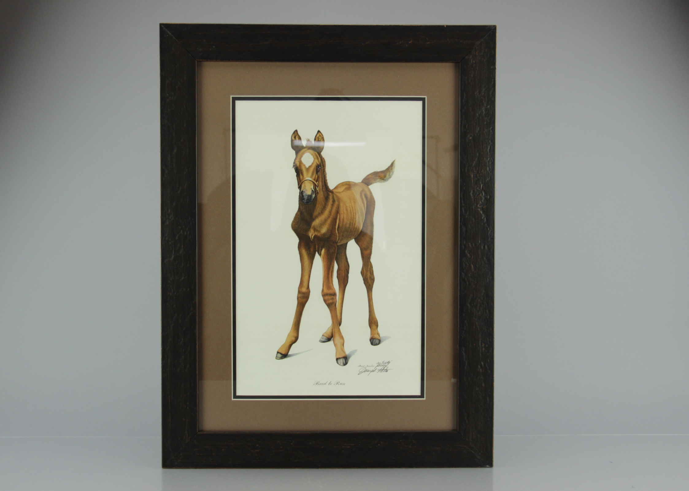Signed, Framed Artist Proof "Bred To Run" by Joseph Petro