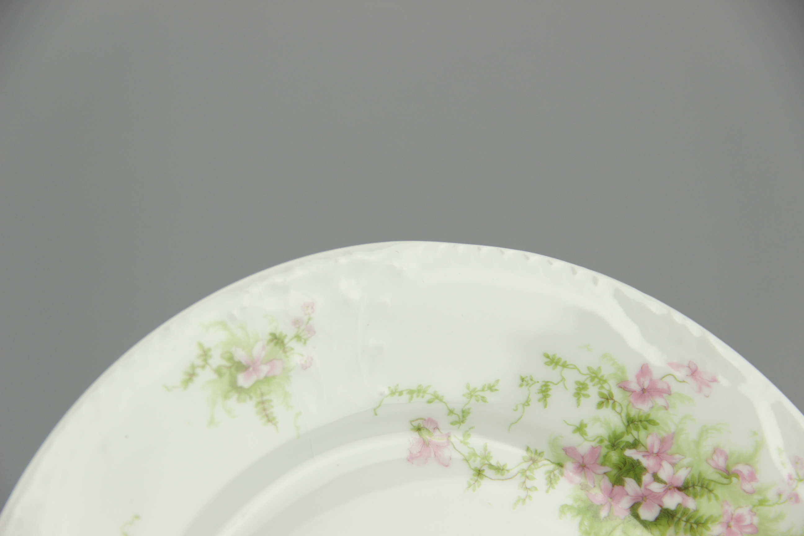 White Limoges Porcelain Plates