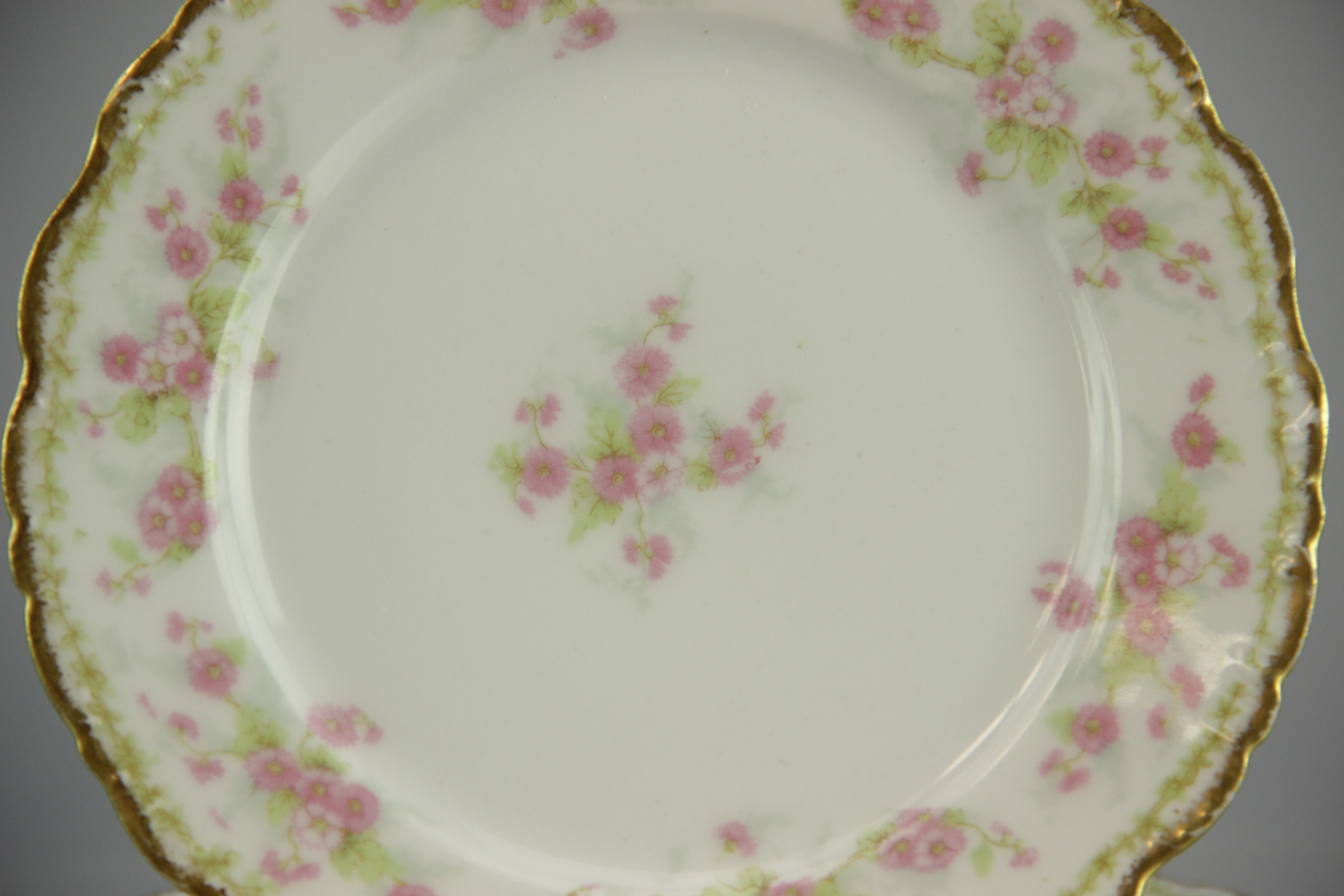 White Limoges Porcelain Plates