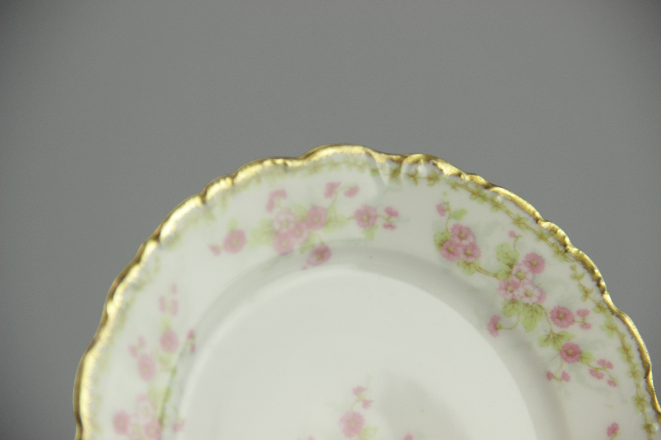 White Limoges Porcelain Plates
