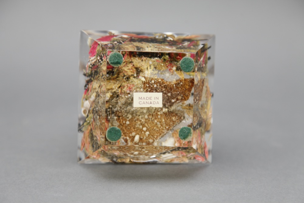 Modern Glass Collection