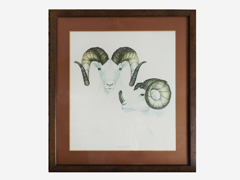 Signed "Alaskan Dall Ram" Diane Coleman Offset Lithograph