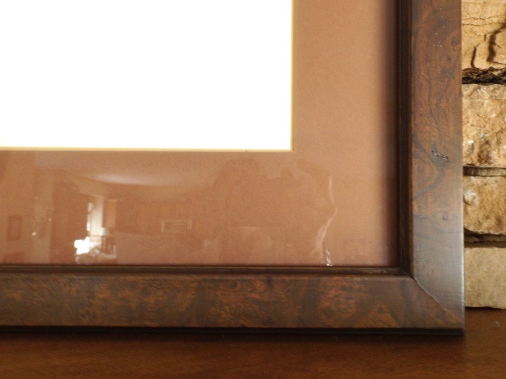 Signed "Alaskan Dall Ram" Diane Coleman Offset Lithograph