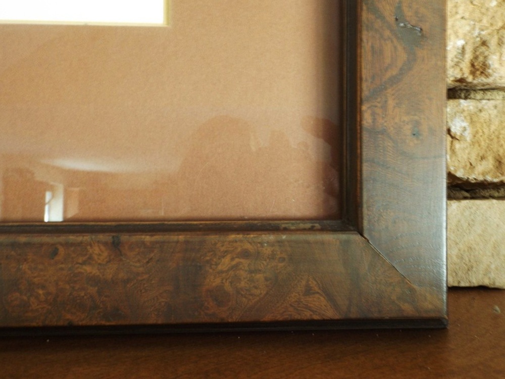 Signed "Alaskan Dall Ram" Diane Coleman Offset Lithograph