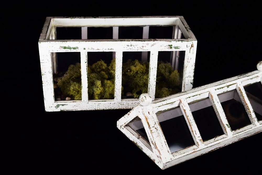 A Decorative Miniature Greenhouse With Removable Roof