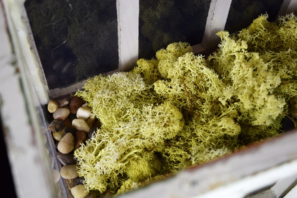 A Decorative Miniature Greenhouse With Removable Roof