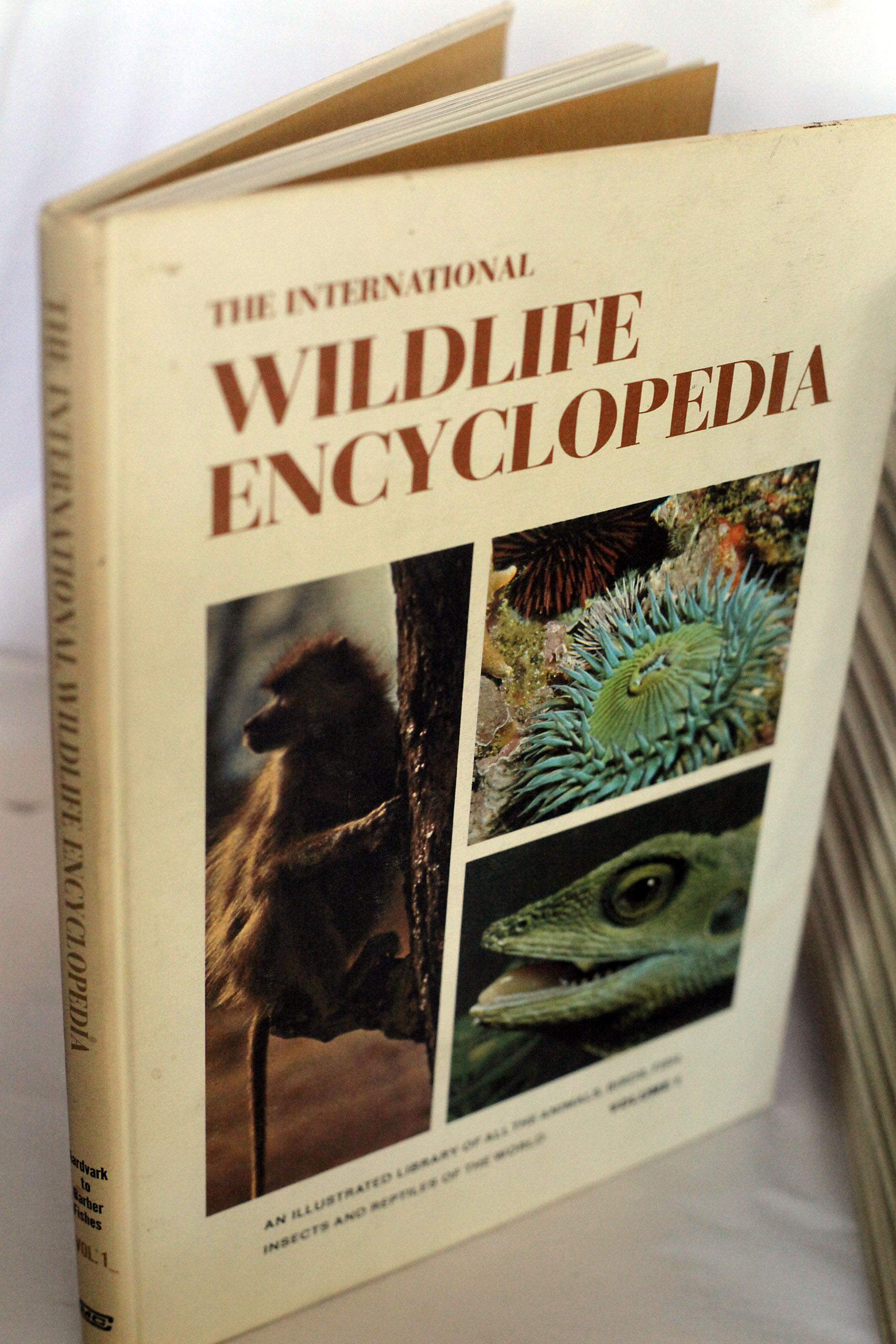 Vintage 1980s Art Periodicals