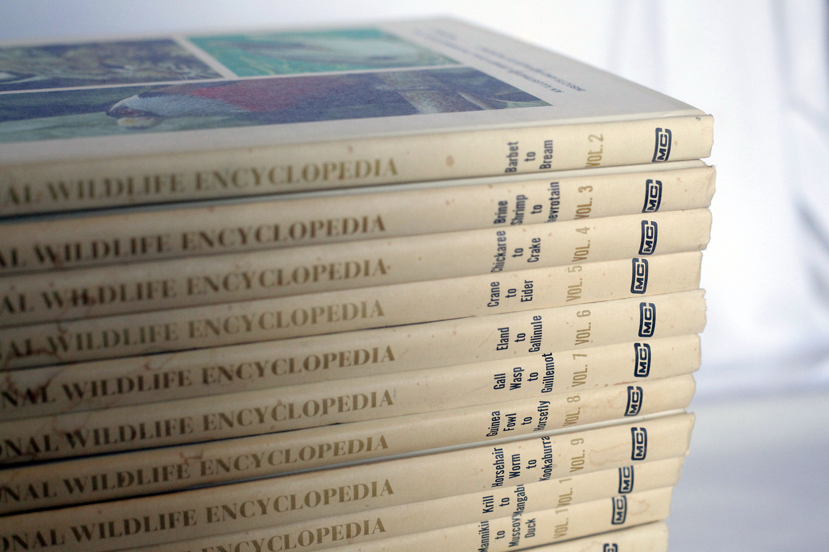 Vintage 1980s Art Periodicals