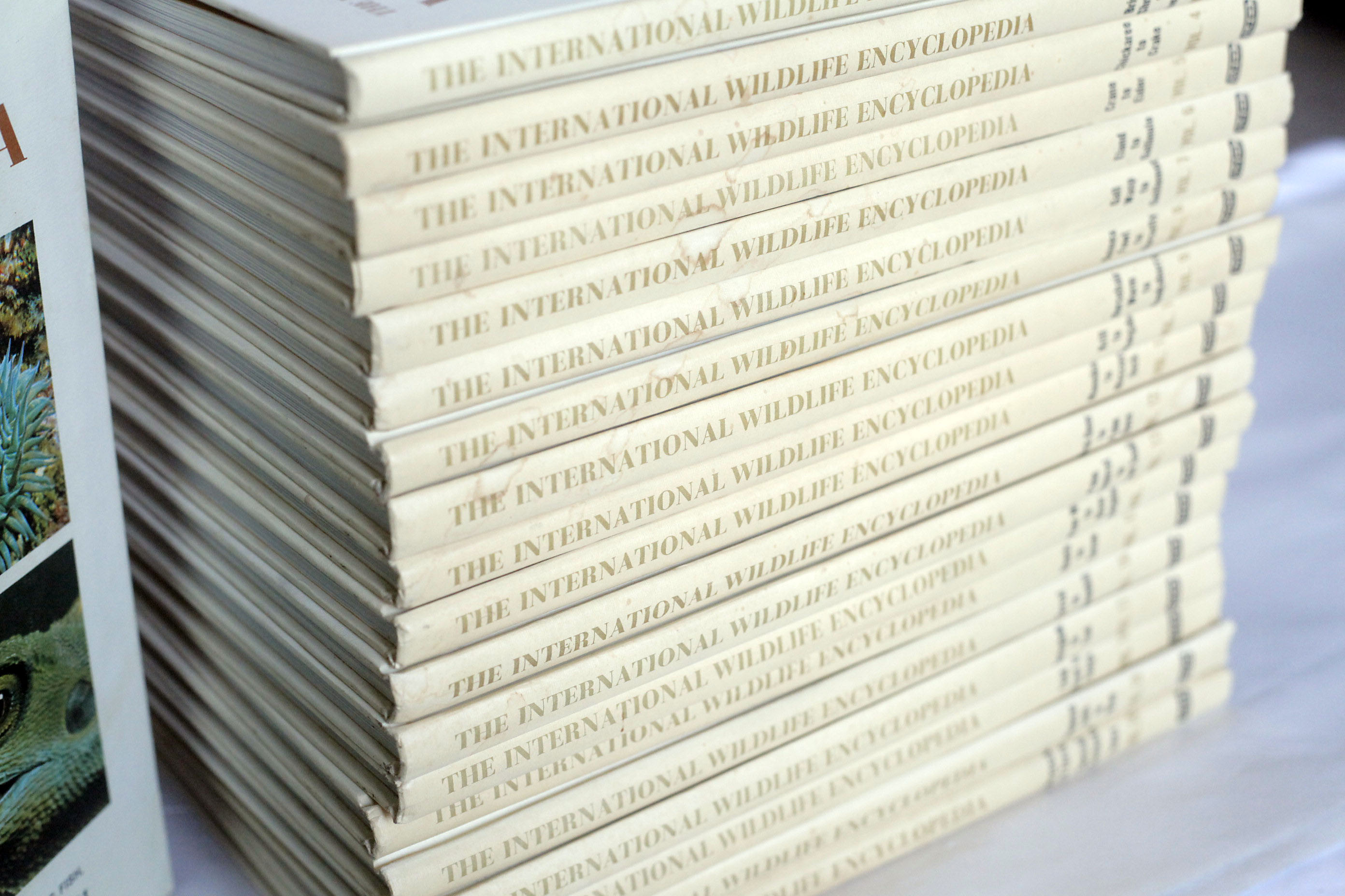 Vintage 1980s Art Periodicals