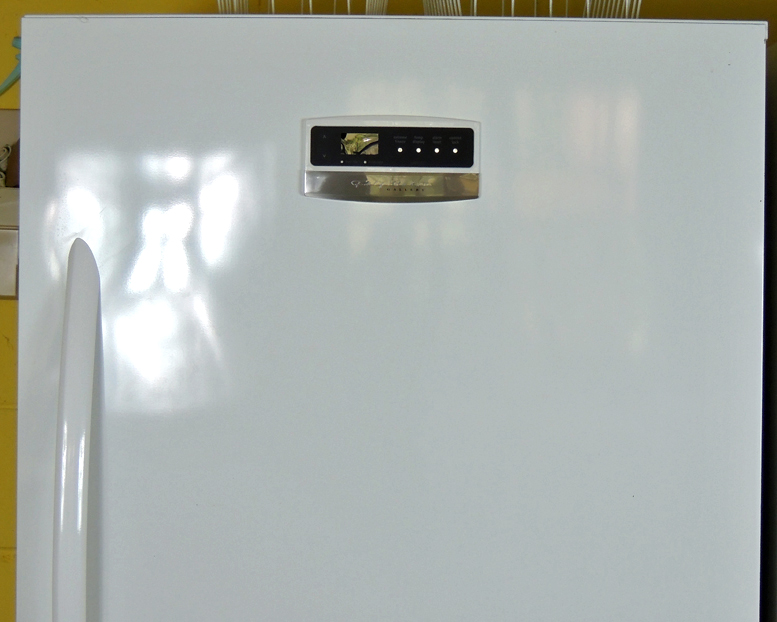 Frigidaire Gallery Upright Freezer