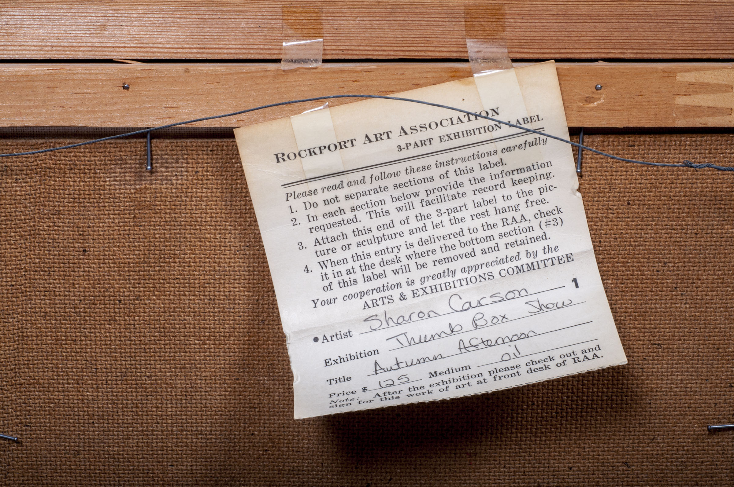 Original Painting by Sharon Carson