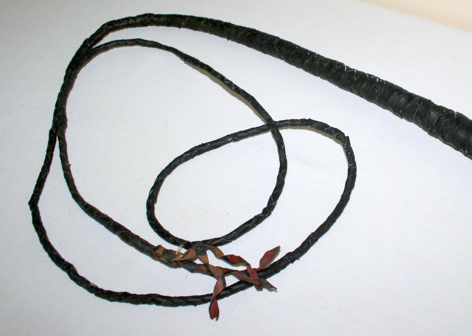 Horse-Themed Grouping