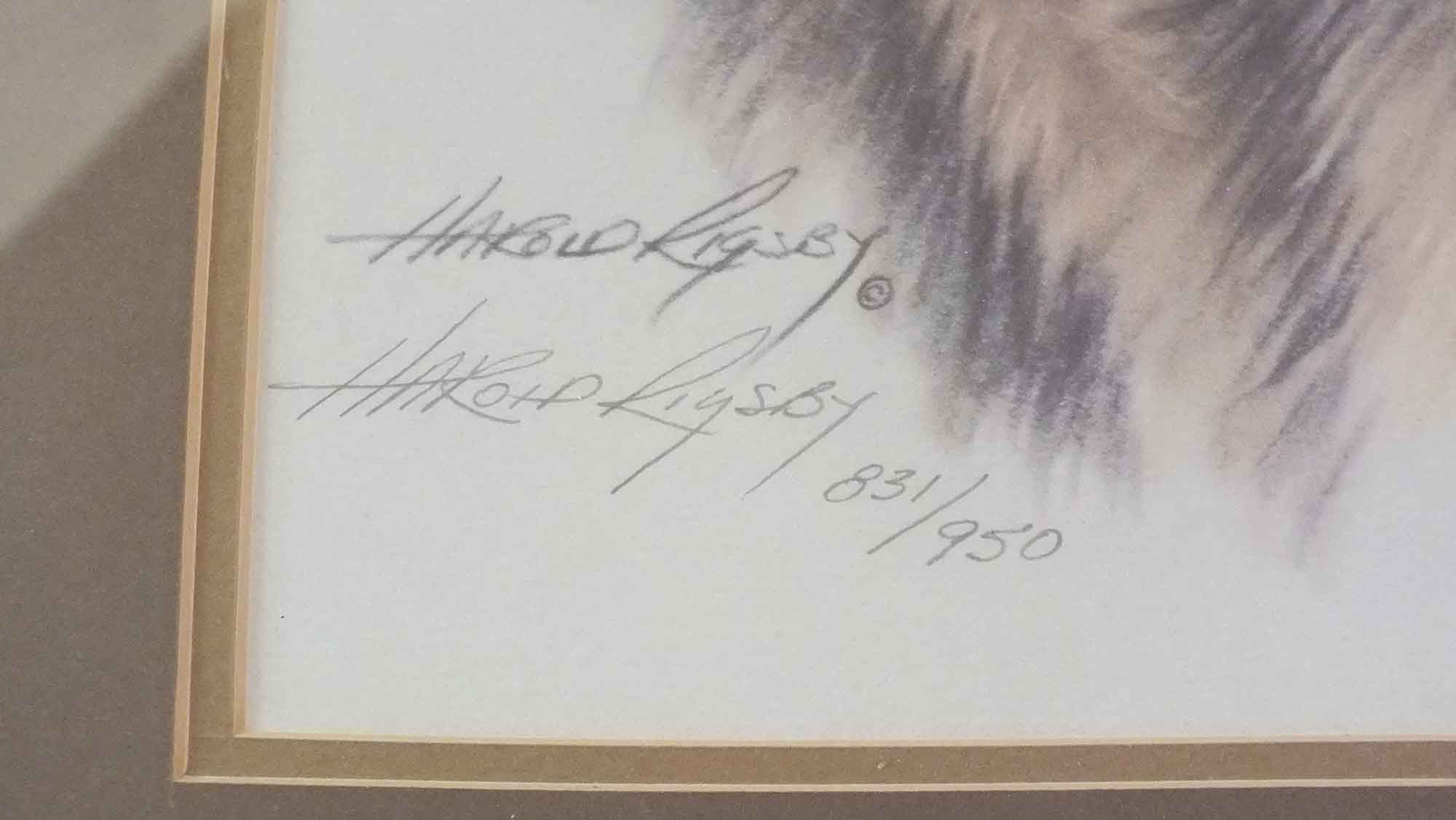 Quartet of  Harold Rigsby Big Cat Prints