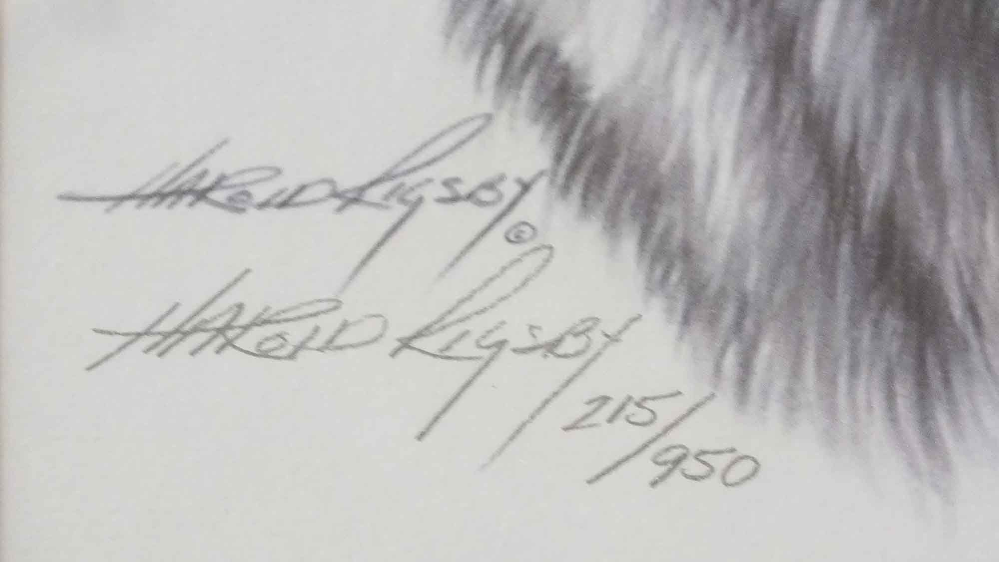 Quartet of  Harold Rigsby Big Cat Prints